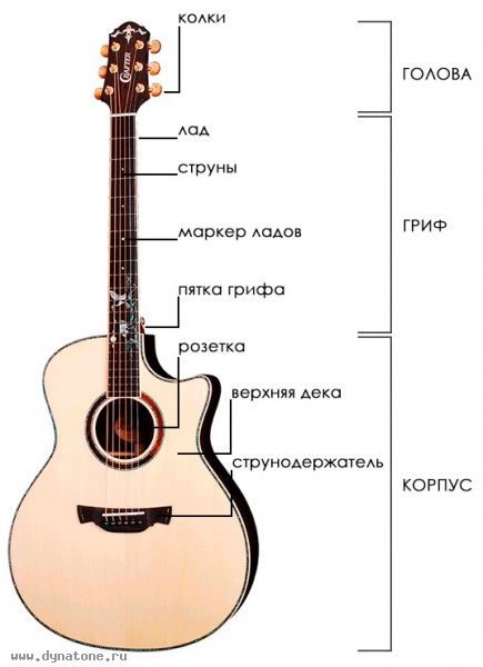 История гитары. Обзор акустических гитар. Типы и виды акустических гитар.