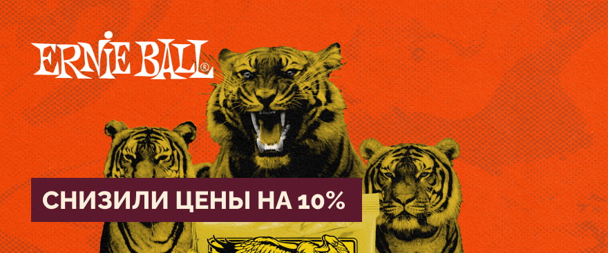 Снижение цен на 10% на весь ассортимент Ernie Ball 