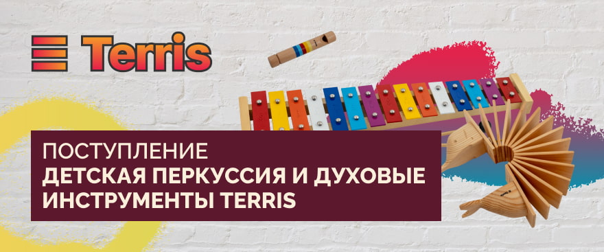 Terris: перкуссия и духовые для детей