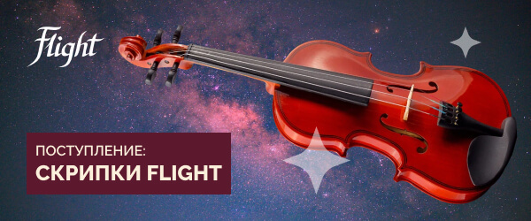 Большое поступление скрипок FLIGHT