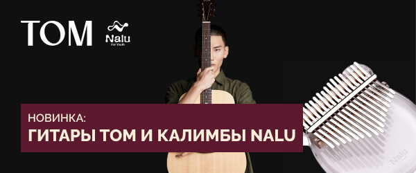 Новинка: гитары и калимбы TOM