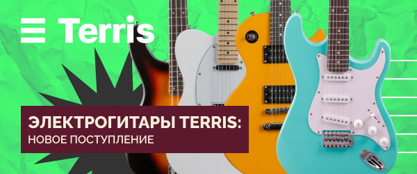 Электрогитары TERRIS: инструменты для будущей рок-звезды! | Новое поступление 19.05.2023
