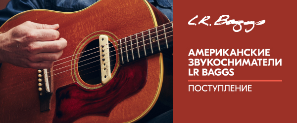 Поступление звукоснимателей LR Baggs