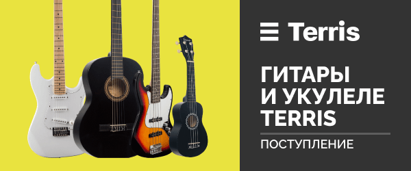 Поступление гитар и укулеле TERRIS