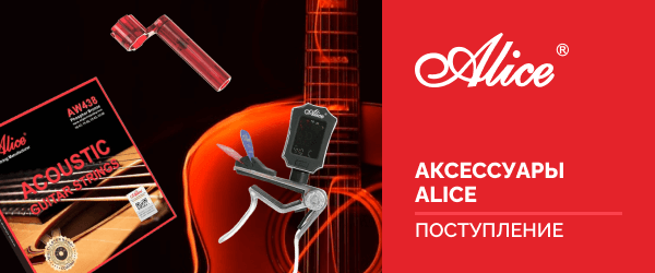 Новинки в аксессуарах Alice