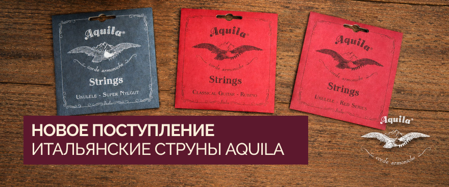 Поступление струн Aquila