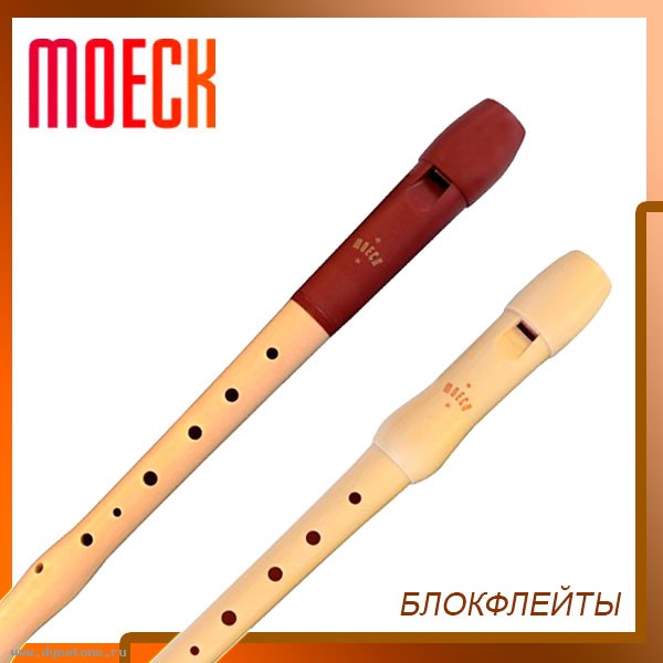 Как выбрать блокфлейту? Советы по выбору блокфлейты.