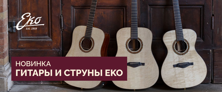 Новинка: гитары и струны Eko