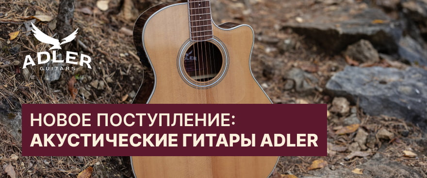 Акустические гитары Adler: поступление и новинки