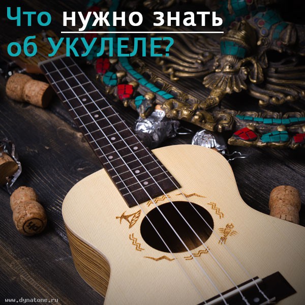 Что нужно знать об укулеле?
