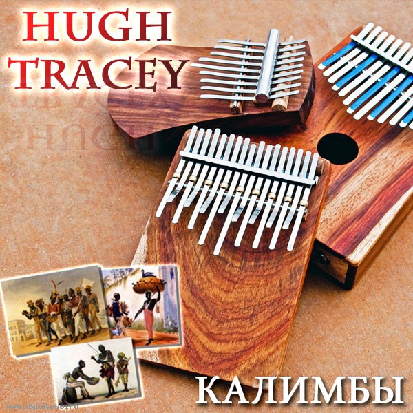 Африканские музыкальные инструменты - калимбы Hugh Tracey
