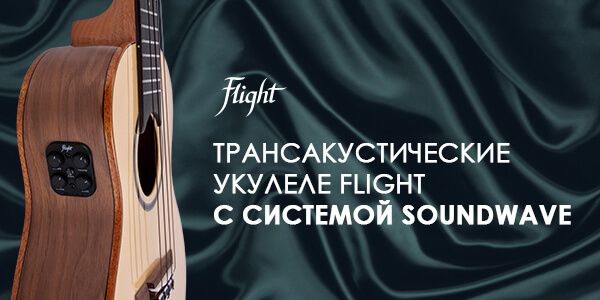 Flight Soundwave