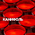 Поступление струн и аксессуаров THOMASTIK